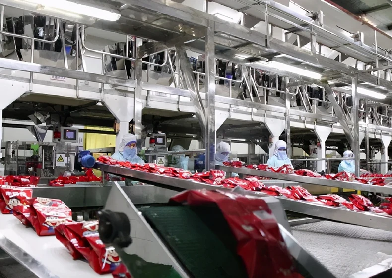 河南漯河某零食包装厂